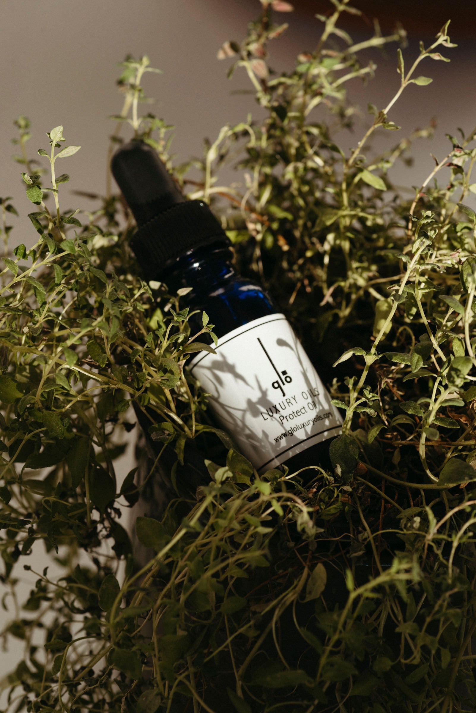 2 oz Protect Oil SPF 25
