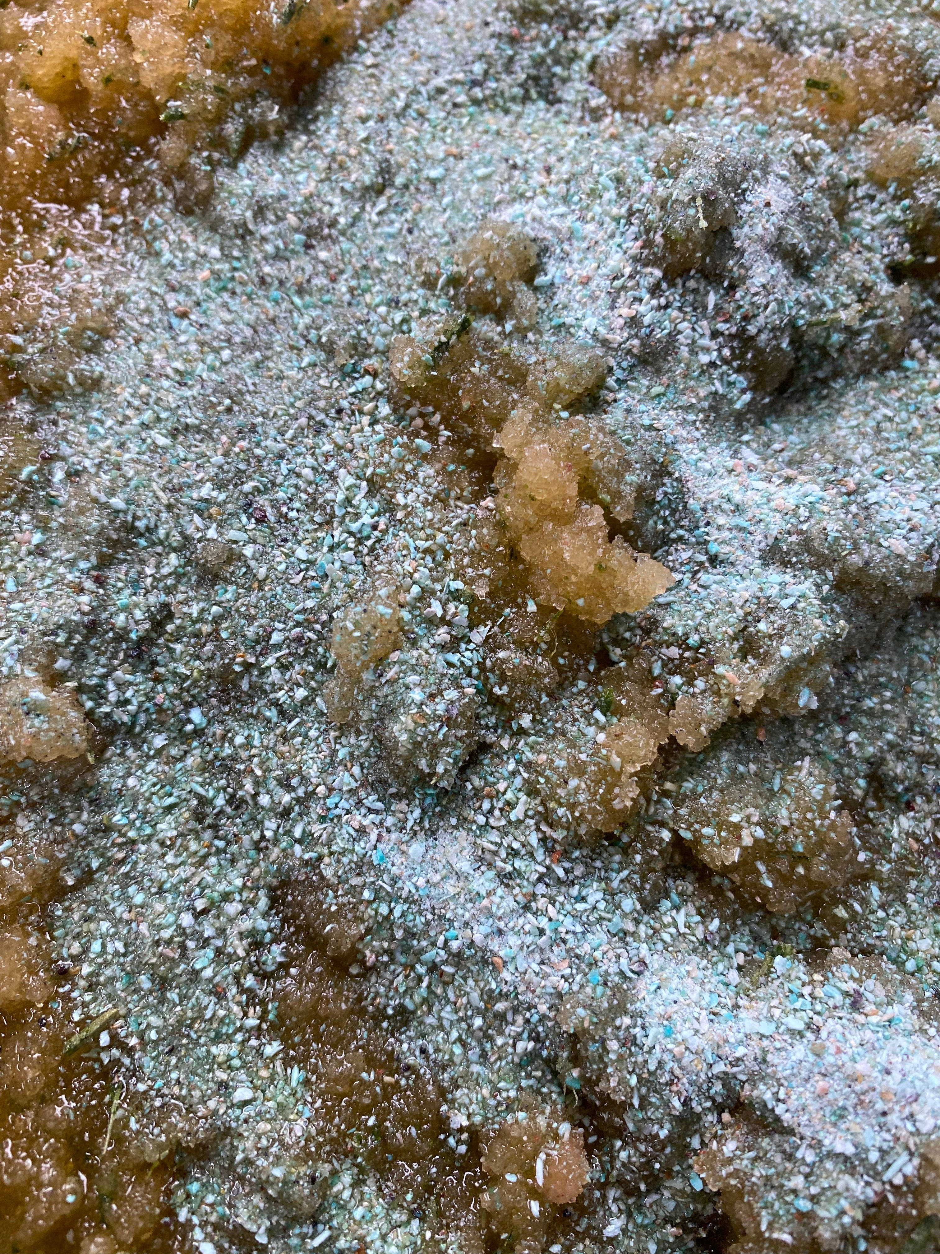 Spruce Body Scrub (Sold OUT)