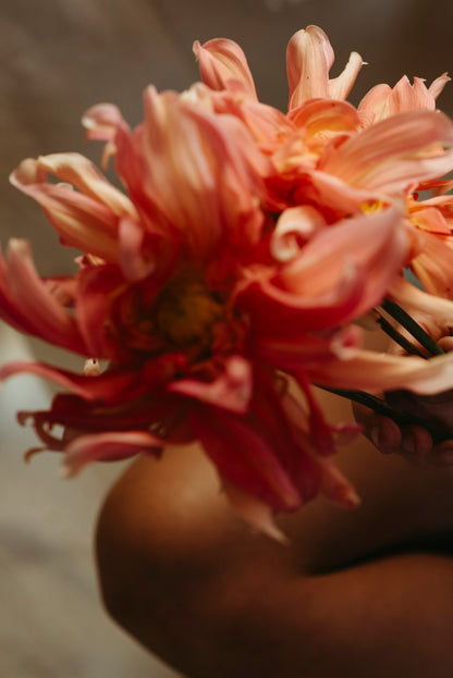 Spark Creativity Flower Essence