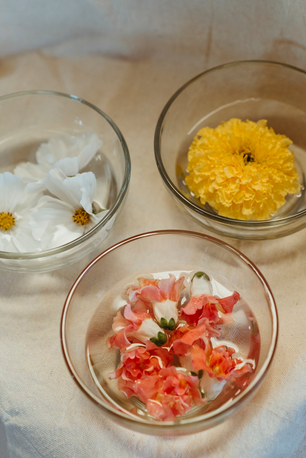 Radical Self Acceptance Flower Essence
